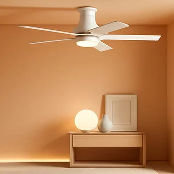Electric Fan Products